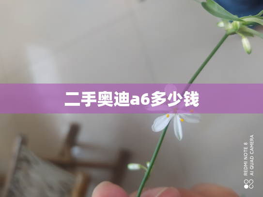 二手奥迪a6多少钱