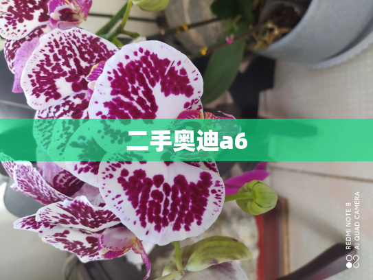 二手奥迪a6