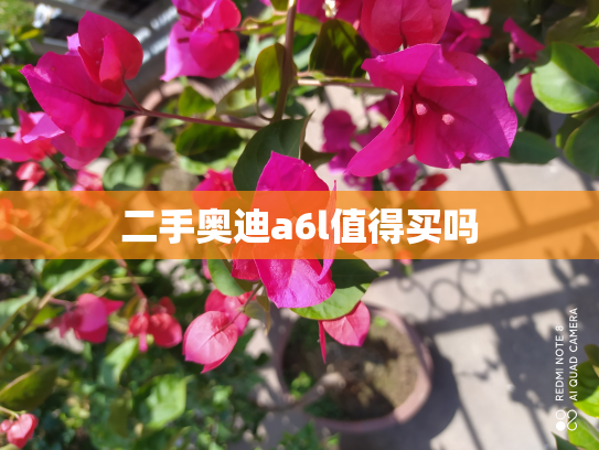 二手奥迪a6l值得买吗