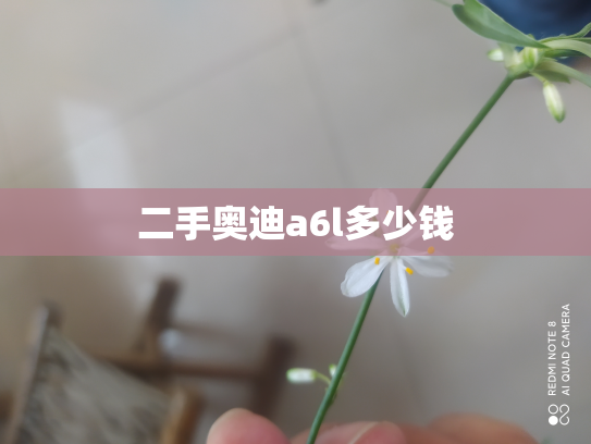 二手奥迪a6l多少钱