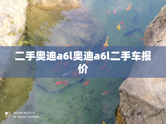 二手奥迪a6l奥迪a6l二手车报价