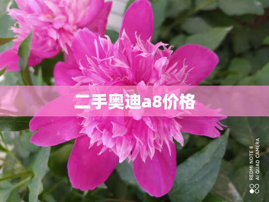 二手奥迪a8价格