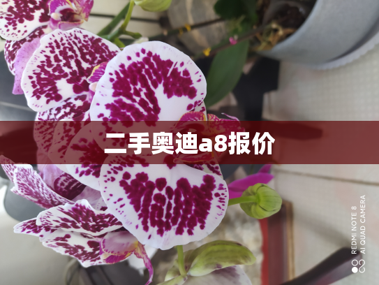 二手奥迪a8报价