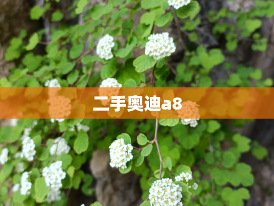 二手奥迪a8