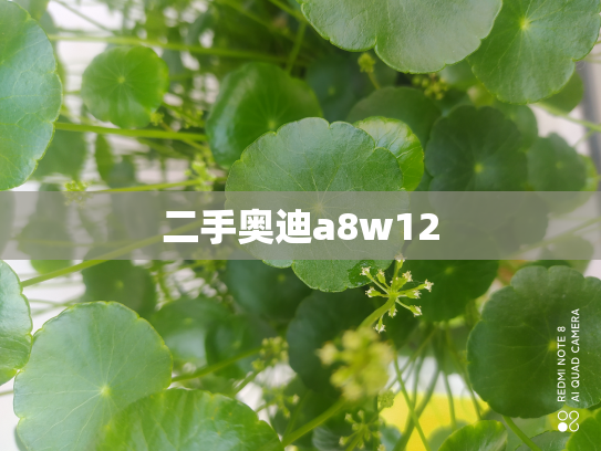 二手奥迪a8w12