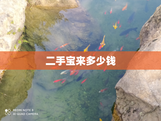 二手宝来多少钱