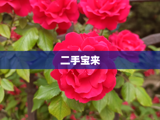 二手宝来