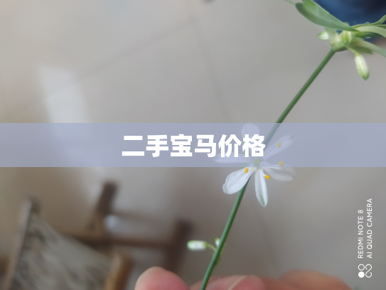 二手宝马价格