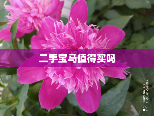 二手宝马值得买吗