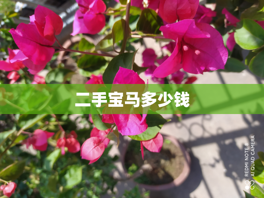 二手宝马多少钱