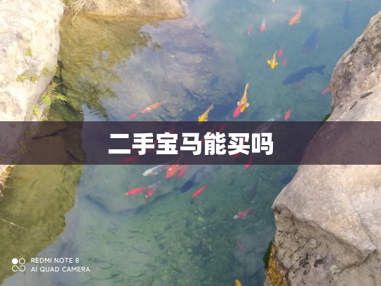 二手宝马能买吗