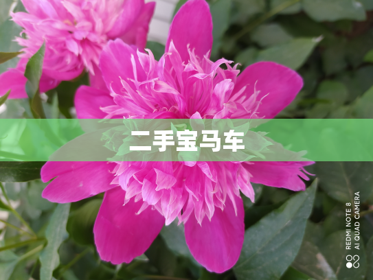 二手宝马车