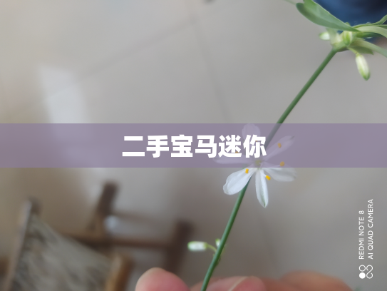 二手宝马迷你