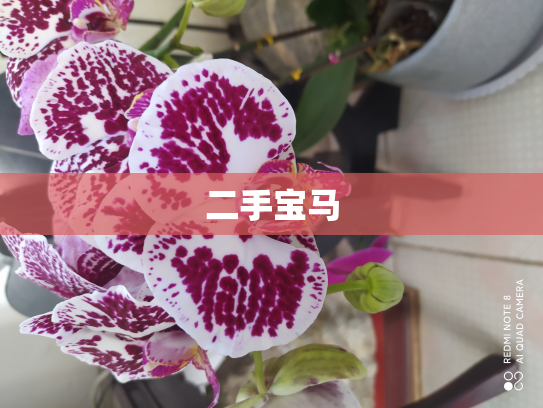二手宝马