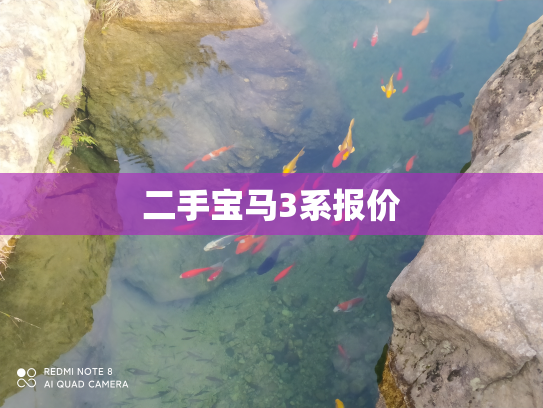 二手宝马3系报价
