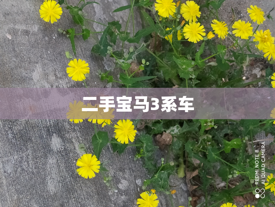 二手宝马3系车