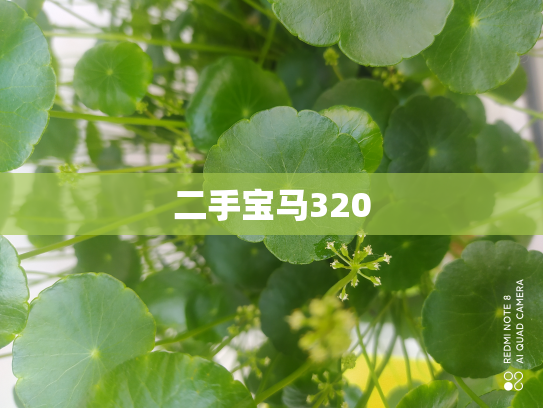 二手宝马320