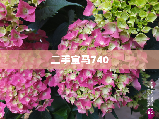 二手宝马740