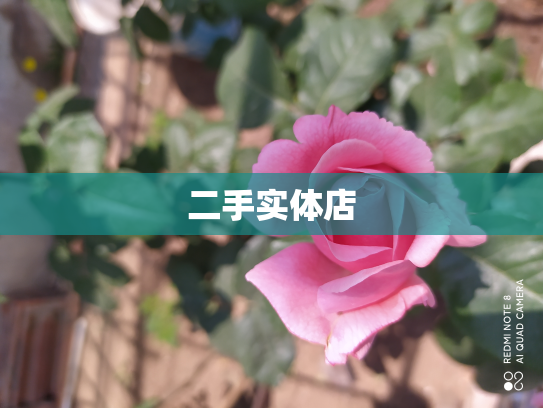 二手实体店