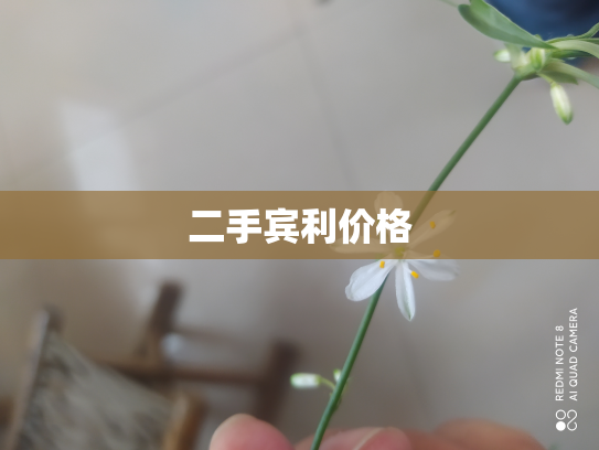 二手宾利价格