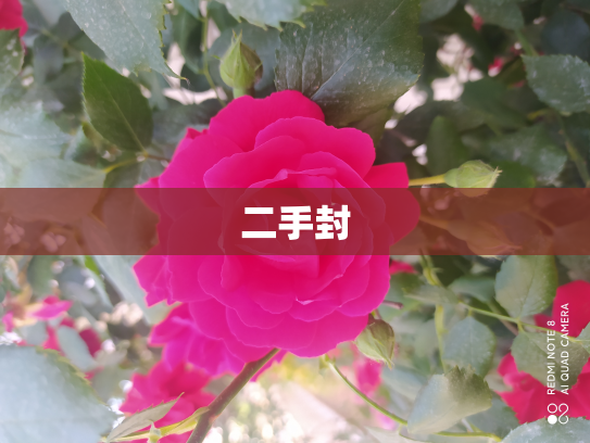 二手封