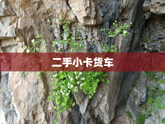 二手小卡货车