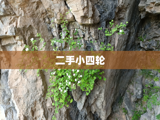 二手小四轮