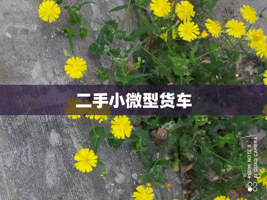 二手小微型货车