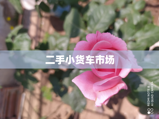 二手小货车市场