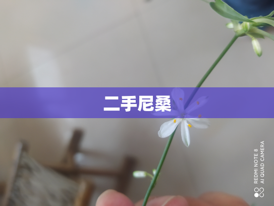 二手尼桑