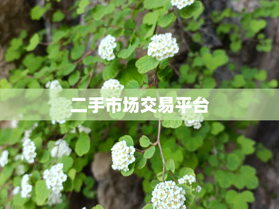 二手市场交易平台