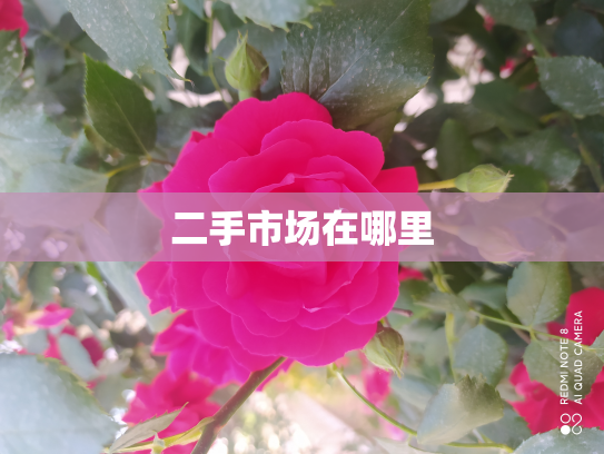 二手市场在哪里