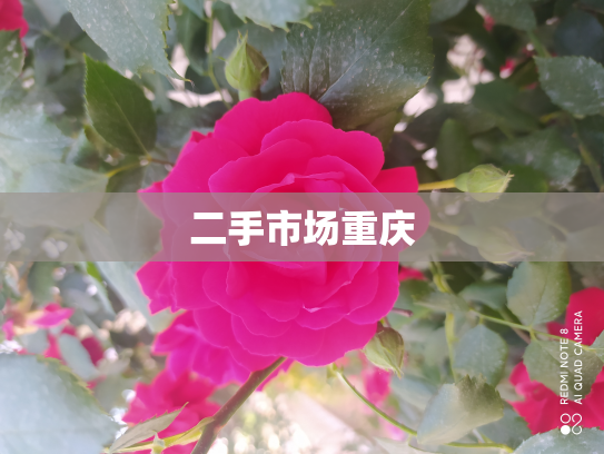二手市场重庆