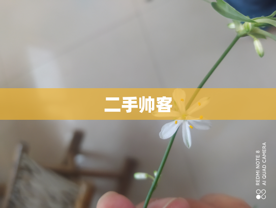 二手帅客
