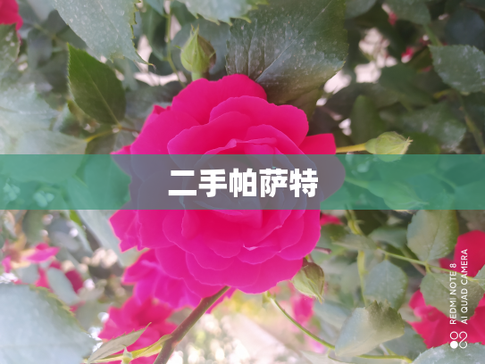 二手帕萨特