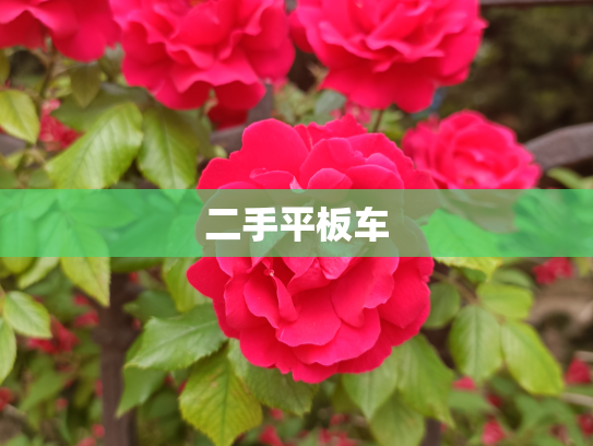 二手平板车
