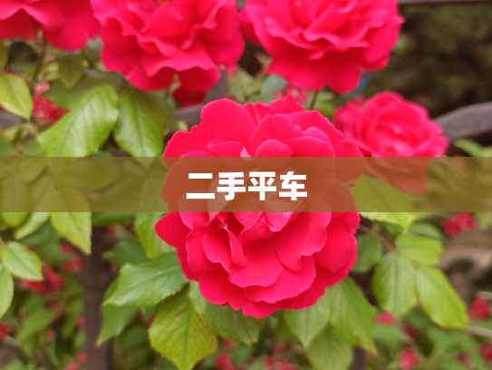 二手平车