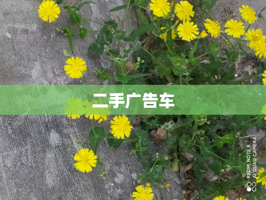 二手广告车