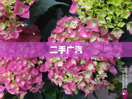 二手广汽