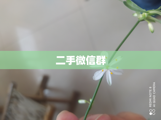 二手微信群