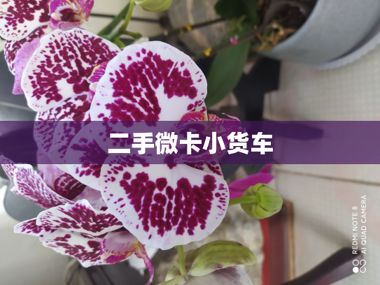二手微卡小货车