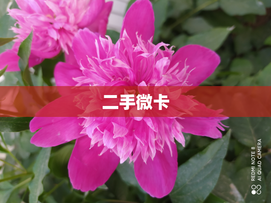 二手微卡
