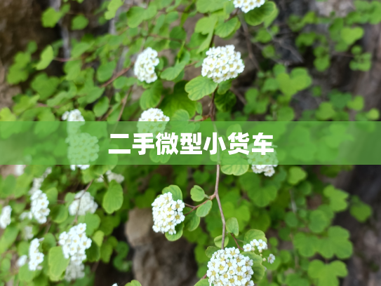 二手微型小货车