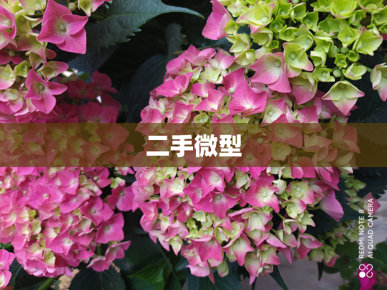 二手微型