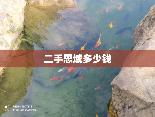 二手思域多少钱