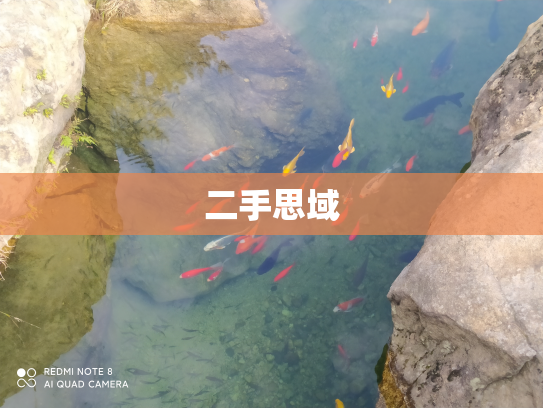 二手思域
