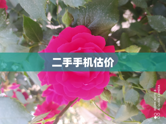 二手手机估价