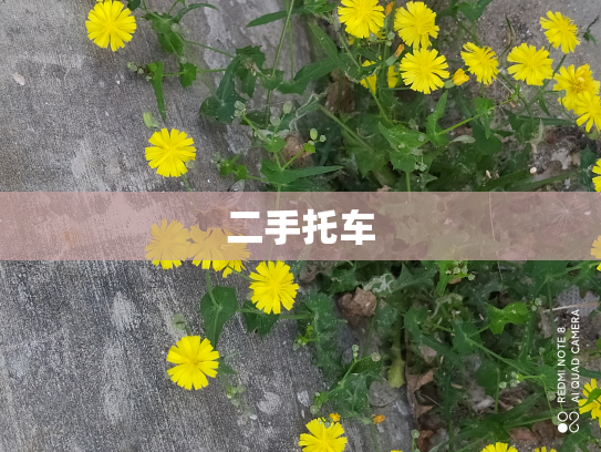 二手托车