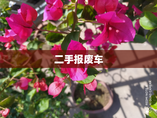 二手报废车