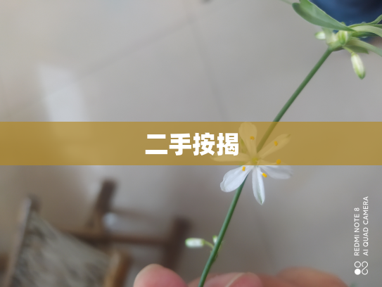二手按揭